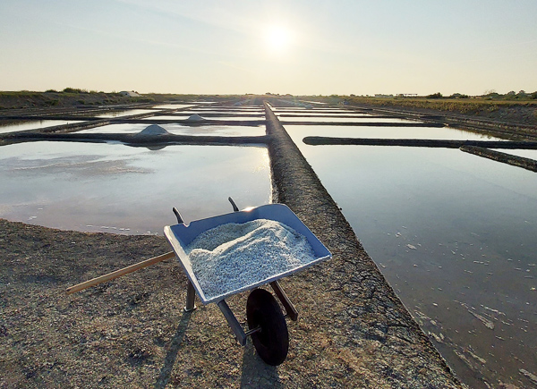-noirmoutier-le-marais-breteau