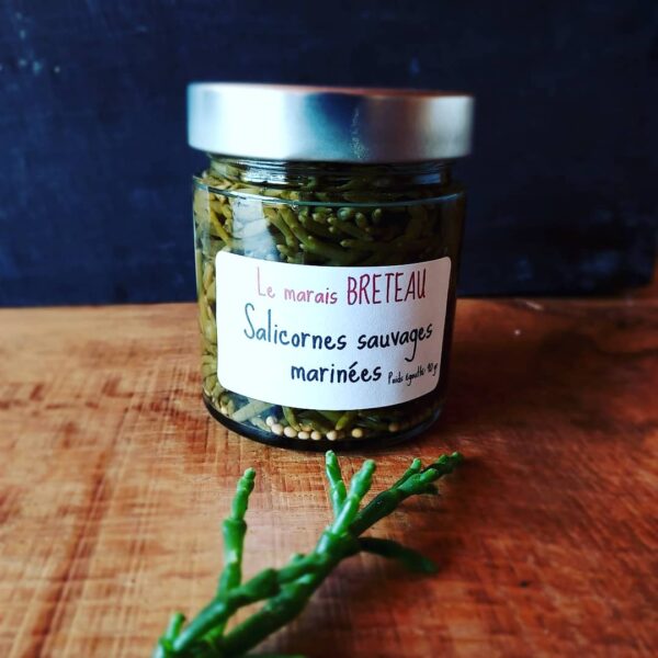 L'image met en avant un pot de salicornes sauvages marinées de 90g, mettant en valeur la fraîcheur et la qualité du produit. Le pot transparent laisse entrevoir les salicornes délicatement marinées dans leur mélange d'aromates, mettant en avant leur couleur vive et leur texture croquante. Sur l'étiquette du pot, on peut lire clairement la mention "Salicornes sauvages marinées", accompagnée d'une brève description mettant en avant les bienfaits pour la santé de ce produit marin riche en nutriments essentiels. L'image évoque la fraîcheur de la mer et l'authenticité des produits artisanaux, offrant aux consommateurs une invitation à découvrir et à déguster ces délicieuses salicornes sauvages marinées, idéales pour agrémenter leurs plats et leur apporter une touche d'originalité et de saveurs marines.