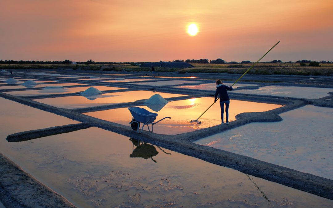 SEL DE NOIRMOUTIER : LE MARAIS BRETEAU SUR ARTE !