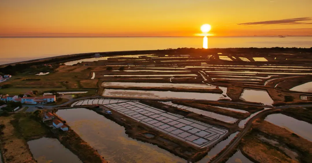 Les marais salants de Noirmoutier 85